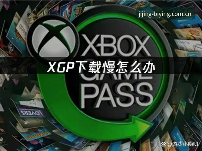 必赢游戏下载下载不了怎么办？资深玩家分享五个实用解决方法